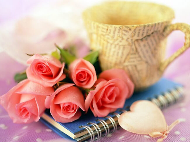 Hoa hồng biểu tượng cho tình yêu nồng nàn và lãng mạn