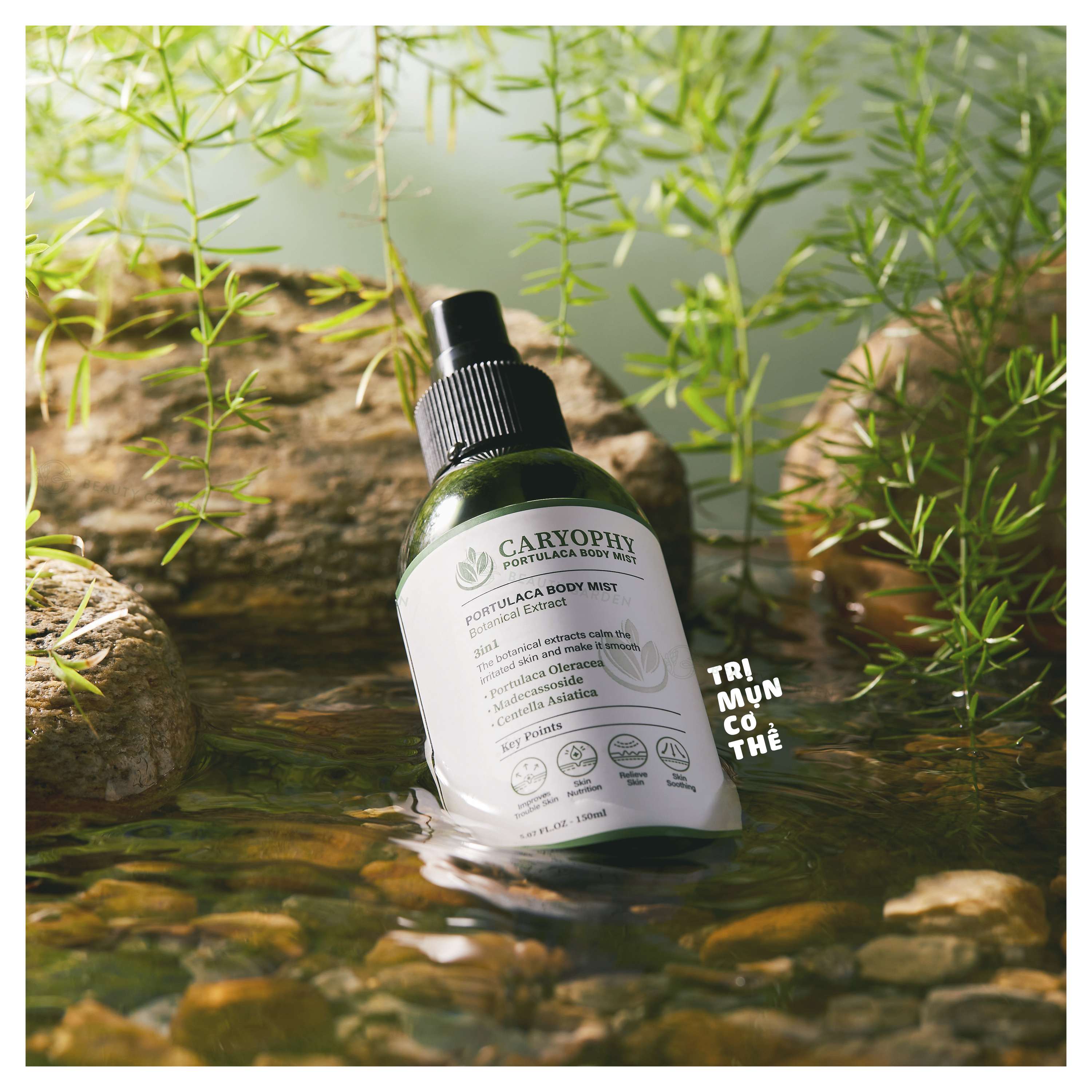 xit giam mun lung caryophy portulaca body mist 150ml hinh anh 1